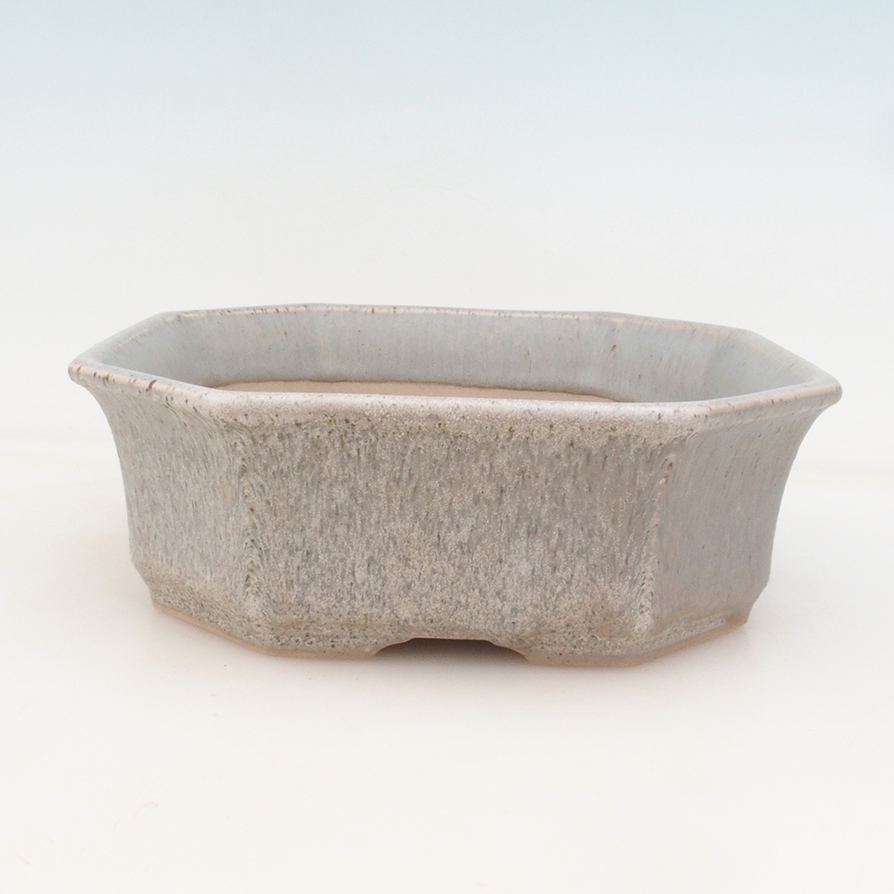Bonsai-Schale + Schale H14 - beige