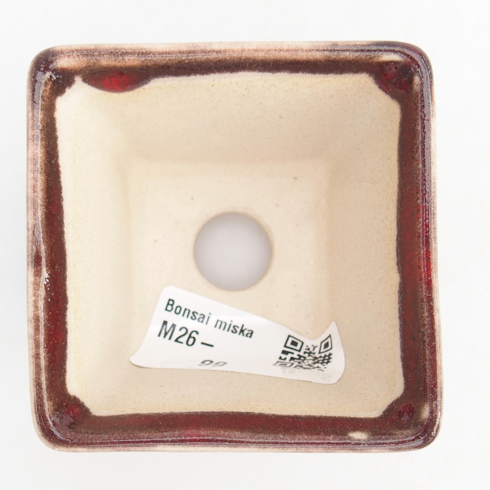 Mini-Bonsaischale 6 x 6 x 5 cm, Farbe rot