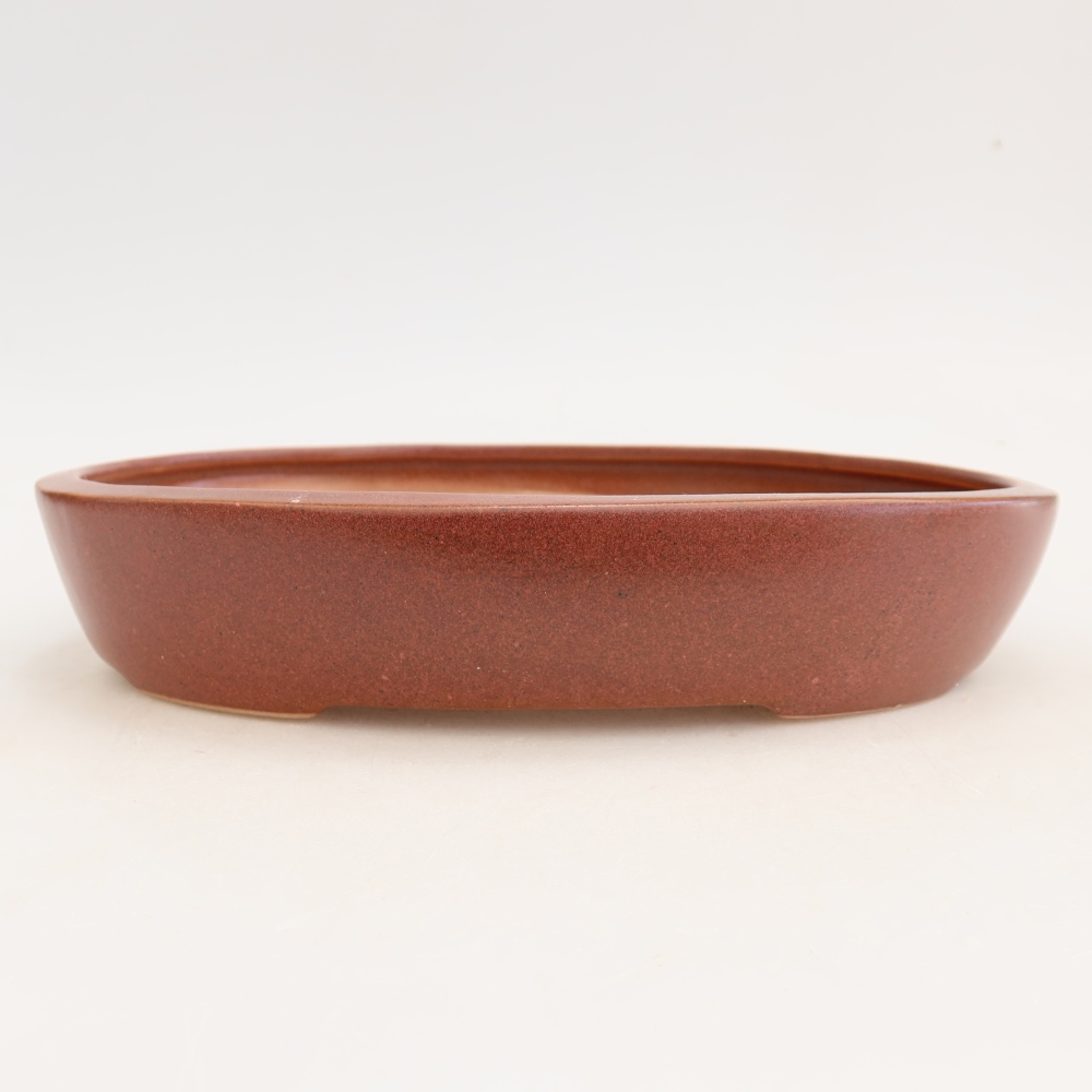Keramik-Bonsai-Schale 22 x 17 x 4 cm, Farbe: weinrot