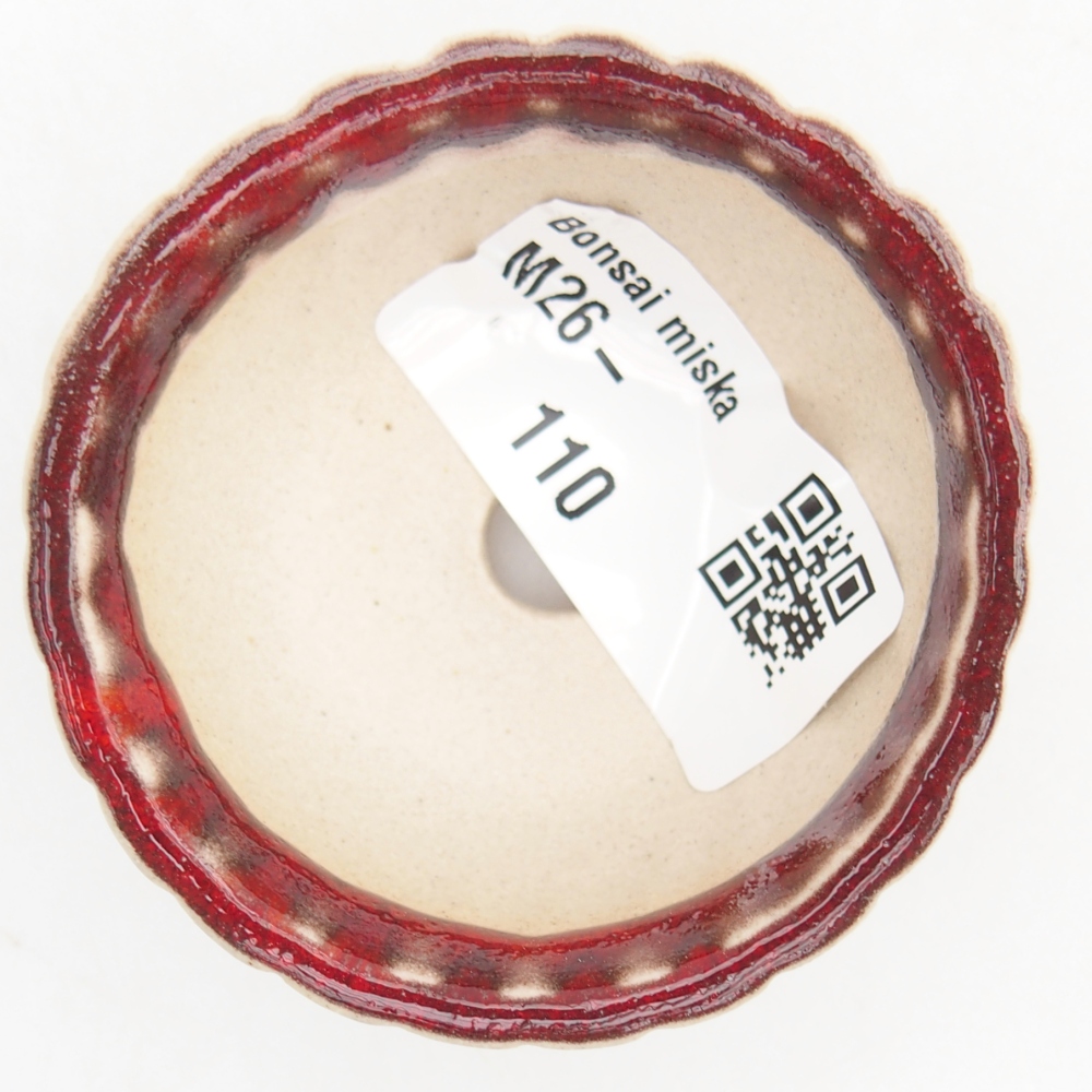 Mini-Bonsaischale 5,5 x 5,5 x 2,5 cm, Farbe rot