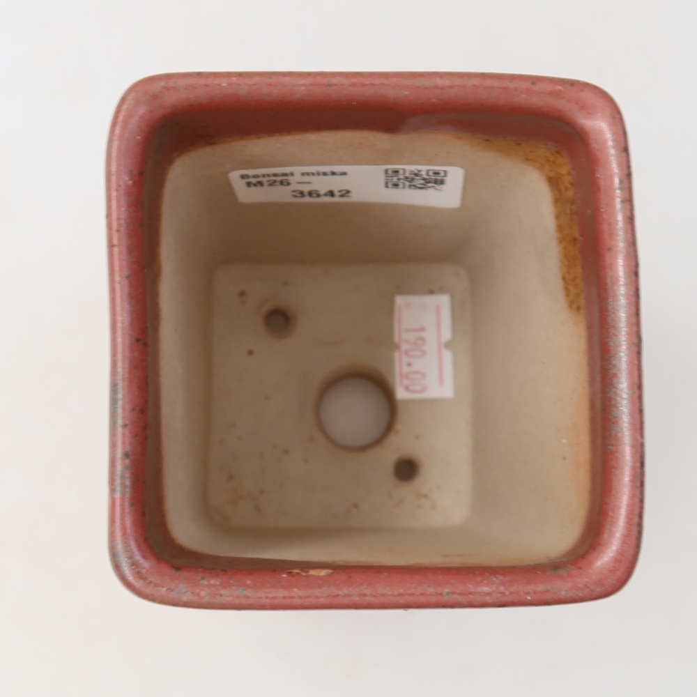 Bonsai-Schale aus Keramik, 7,5 x 7,5 x 10,5 cm, Farbe: Rosa