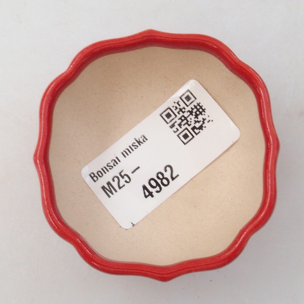 Mini-Bonsaischale 6 x 5,5 x 2,5 cm, Farbe rot