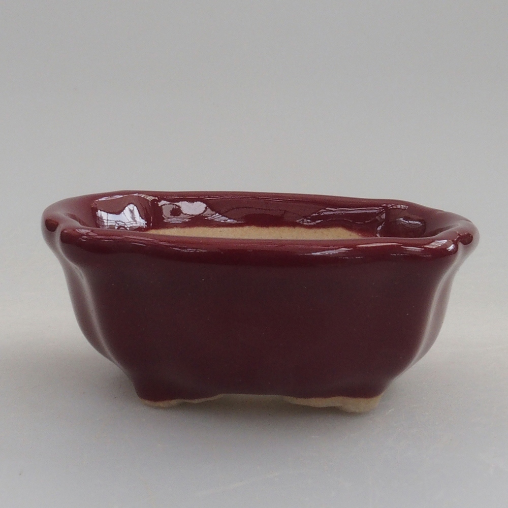 Mini-Bonsaischale 6 x 6 x 2,5 cm, Farbe Burgunder