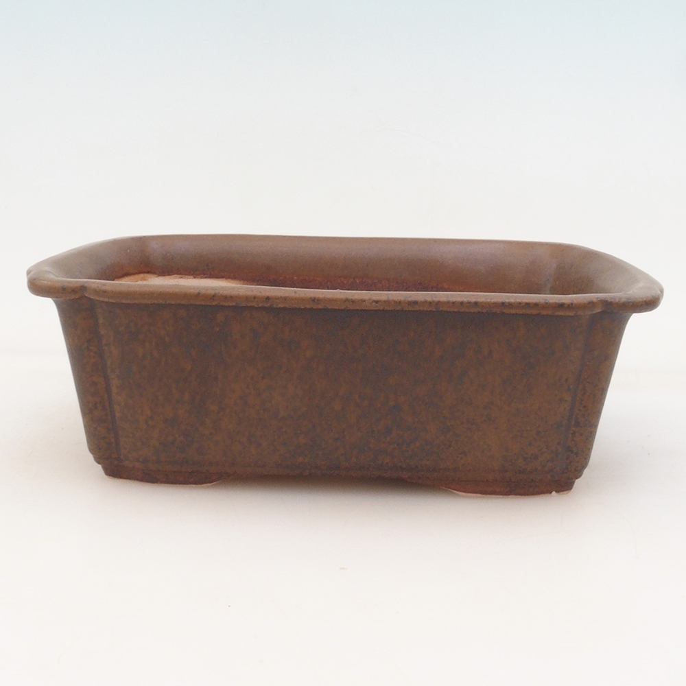 Bonsai-Schale H50 – 17 x 12,5 x 5,5 cm - Braun