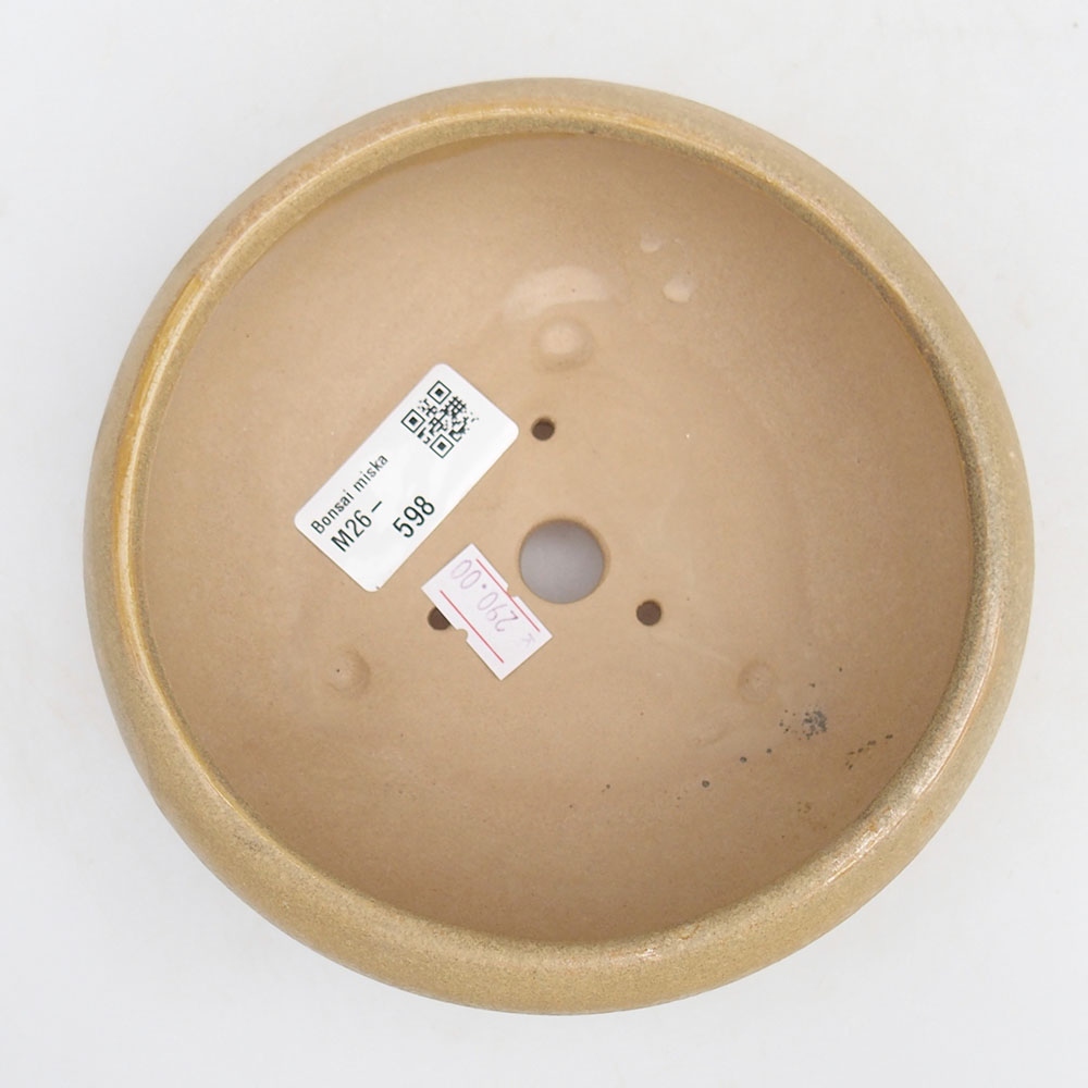 Bonsaischale aus Keramik 14 x 14 x 6,5 cm, Farbe beige