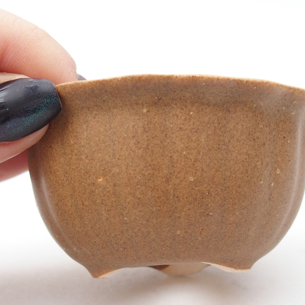 Mini-Bonsaischale 7,5 x 7,5 x 3,5 cm, braun