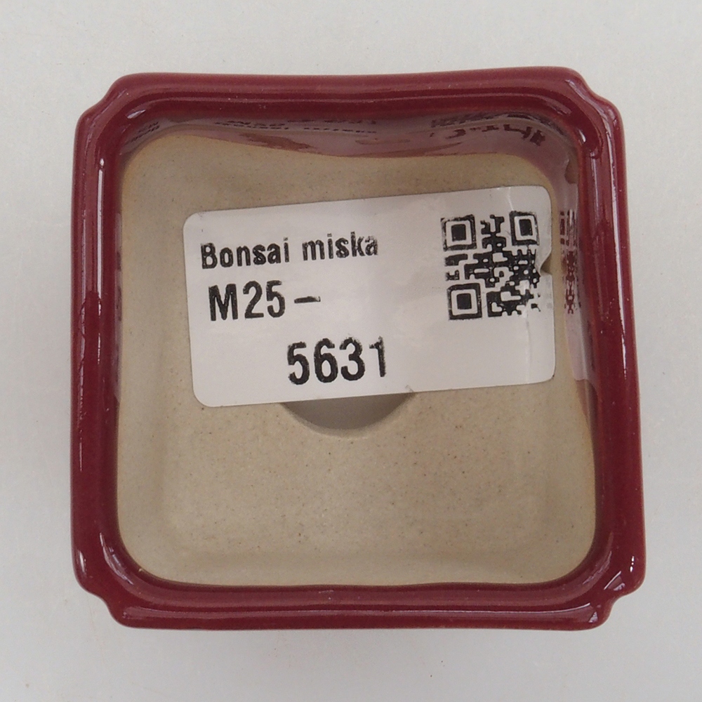 Mini-Bonsaischale 4,5 x 4,5 x 3 cm, Farbe Burgunder