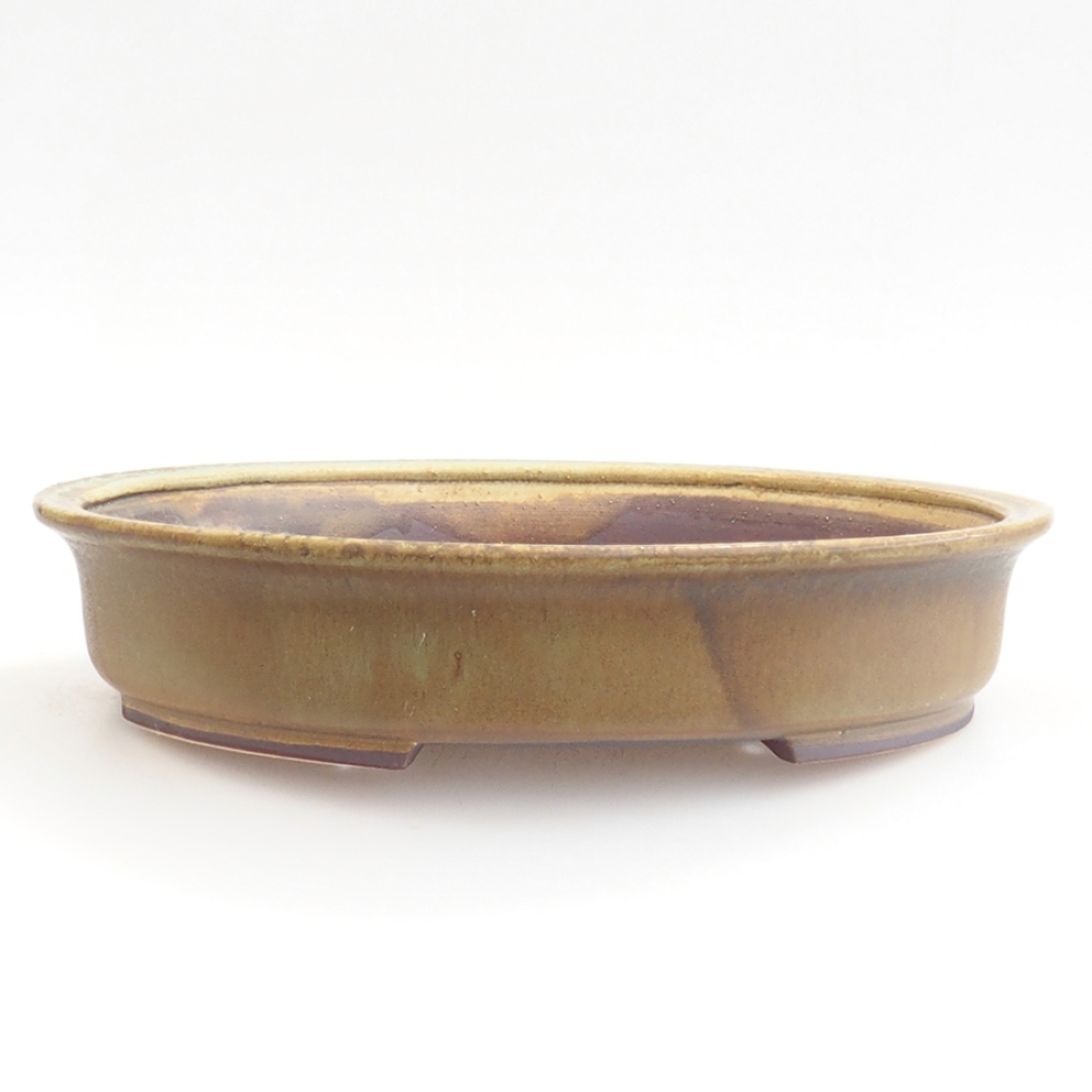 Bonsaischale aus Keramik 25,5 x 23 x 5,5 cm, grün