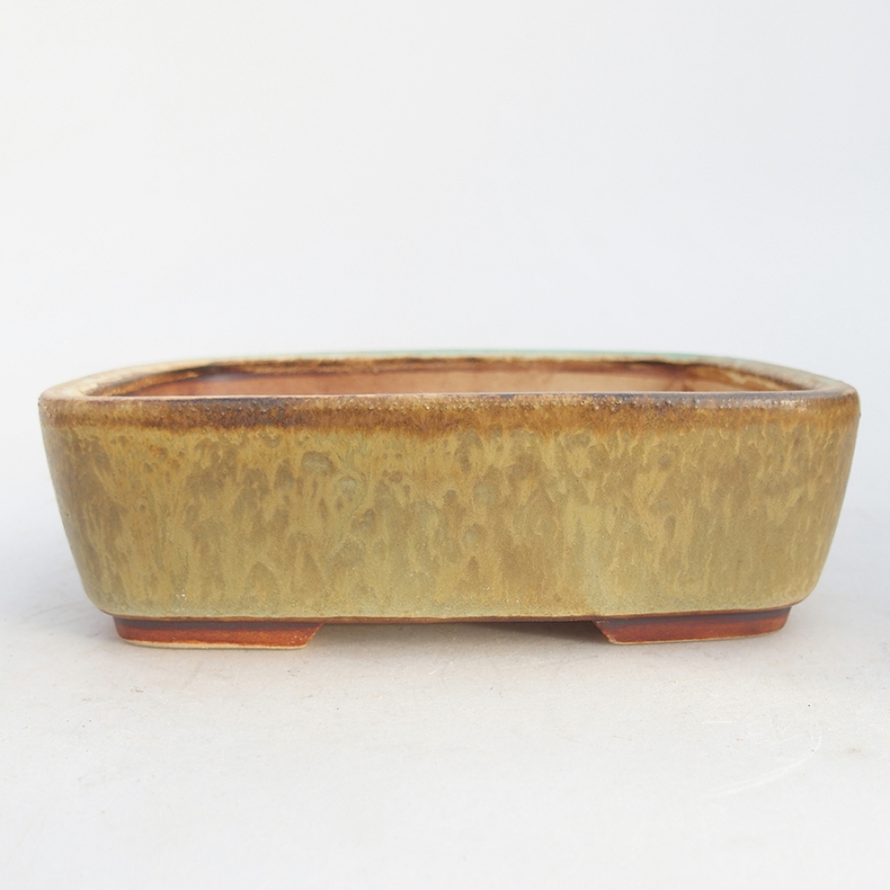 Keramik-Bonsaischale 14,5 x 12 x 4,5 cm, Farbe Grün
