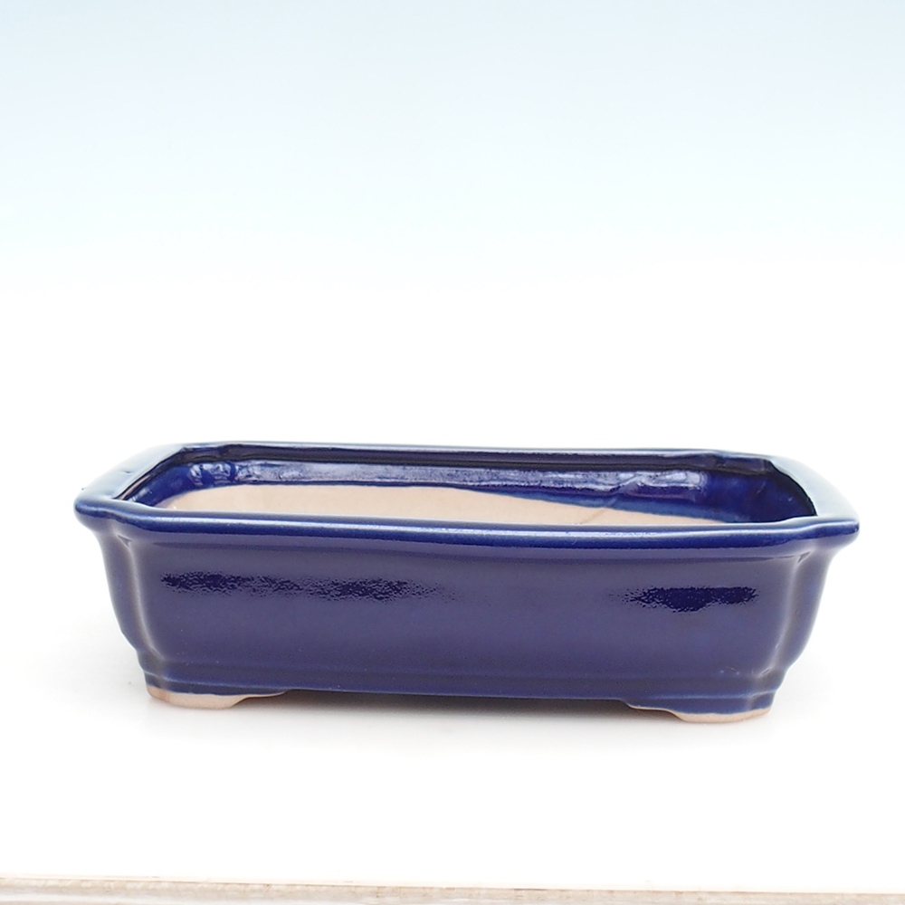 Bonsai-Schale H20 – 26,5 x 21,5 x 6,5 cm - blau