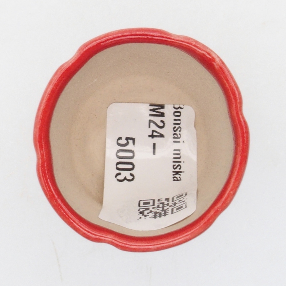 Mini-Bonsaischale  3 x 3 x 5,5 cm, Farbe rot