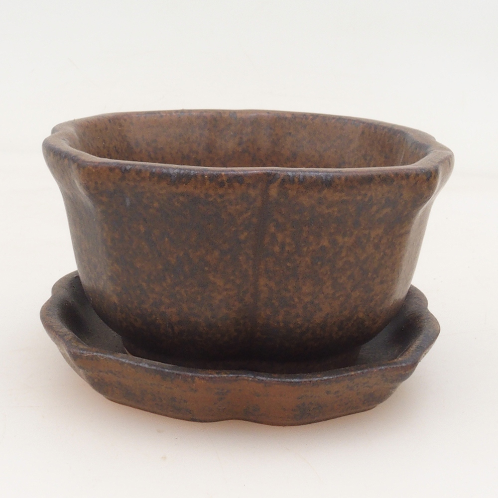 Bonsai-Schale + Untertasse H95 – Braun