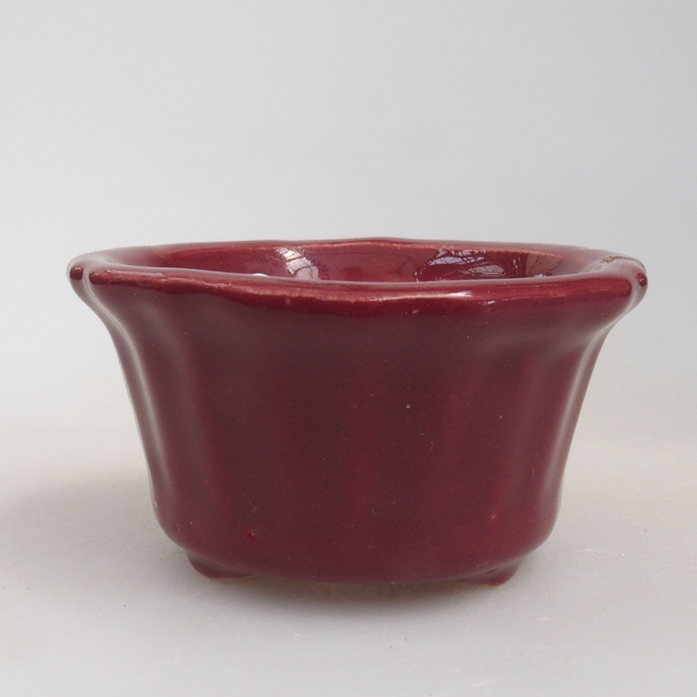 Mini-Bonsaischale 5 x 5 x 2,5 cm, Farbe Burgunder