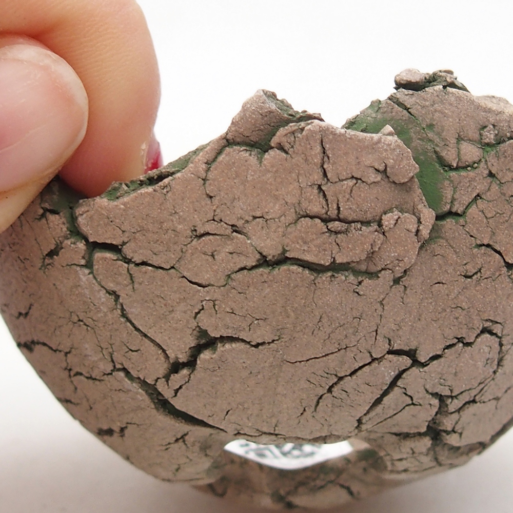 Keramische Muschel 7 x 7 x 4 cm , Farbe grün