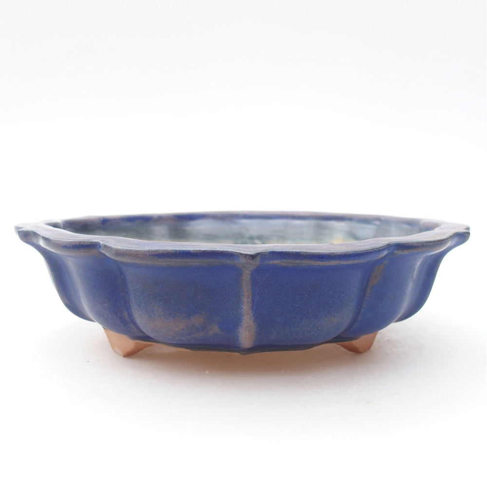 Keramik-Bonsaischale 18,5 x 18,5 x 5 cm, Farbe blau