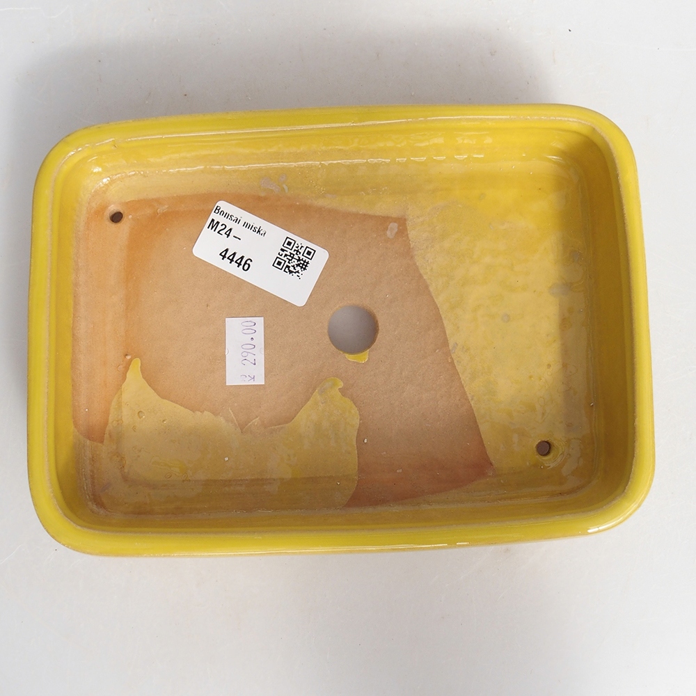 Keramik-Bonsaischale 18 x 13 x 4 cm, Farbe gelb