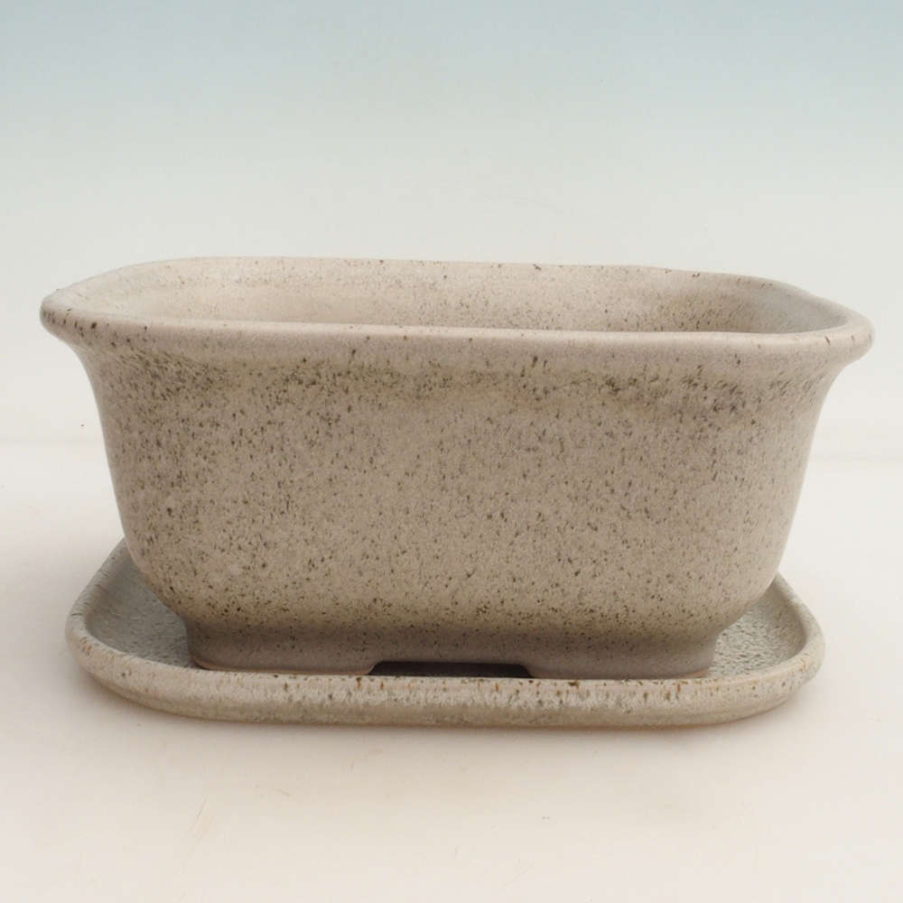Bonsai-Schale + Untertasse H36 - 17 x 15 x 7,5 cm