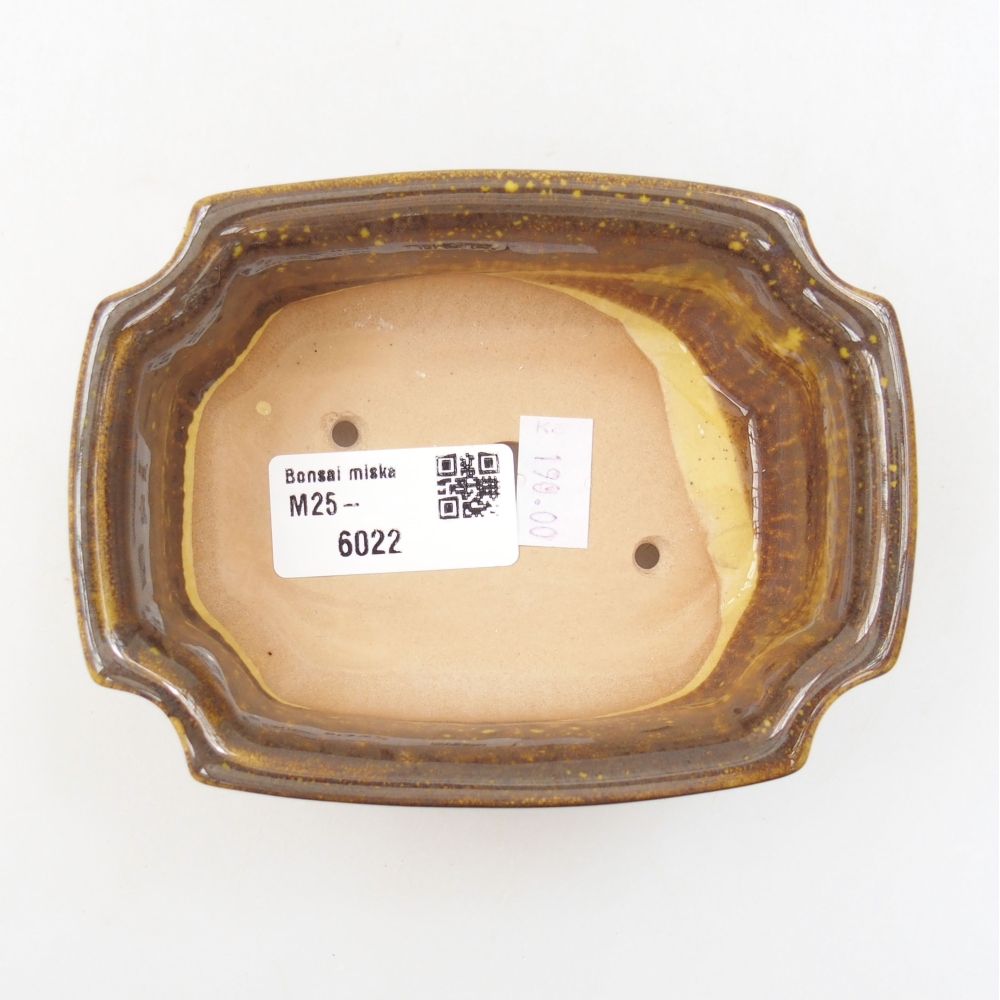 Keramik-Bonsaischale 12 x 9 x 4,5 cm, Farbe  gelb