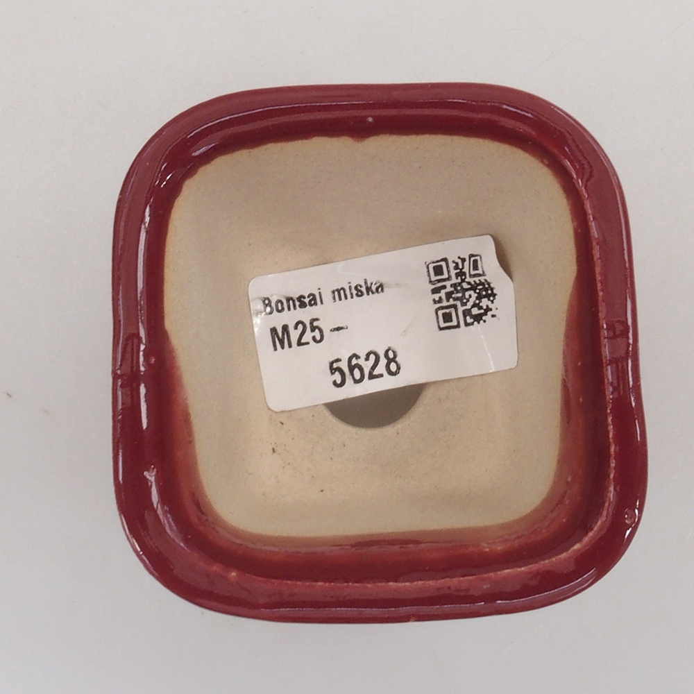 Mini-Bonsaischale 6 x 6 x 4,5 cm, Farbe Burgunder