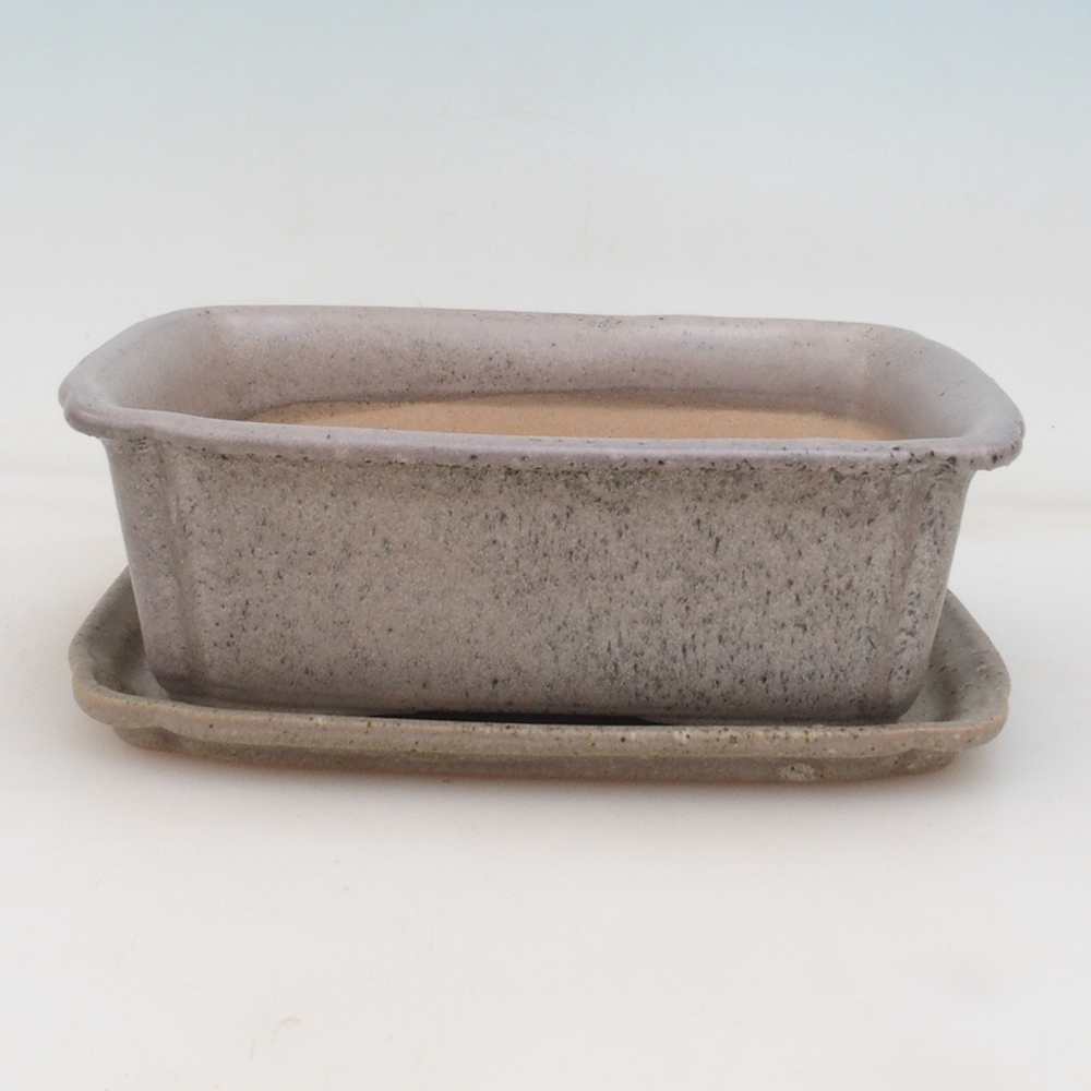 Bonsai-Schale + Schale H50