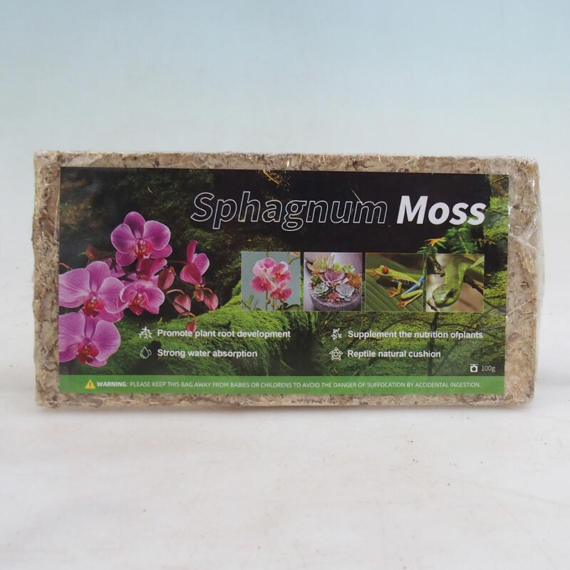 Sphagnum - Sphagnum