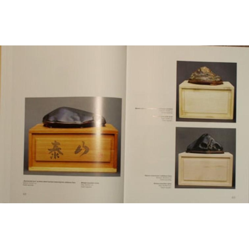 Suiseki, Gongshi, Suseok - Igor Barta