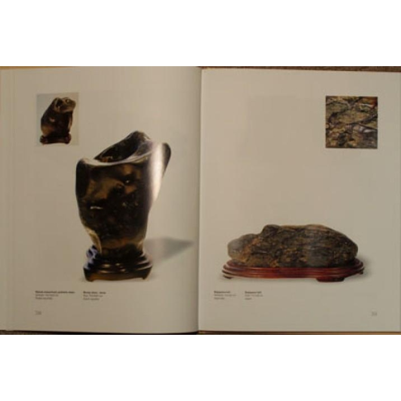 Suiseki, Gongshi, Suseok - Igor Barta