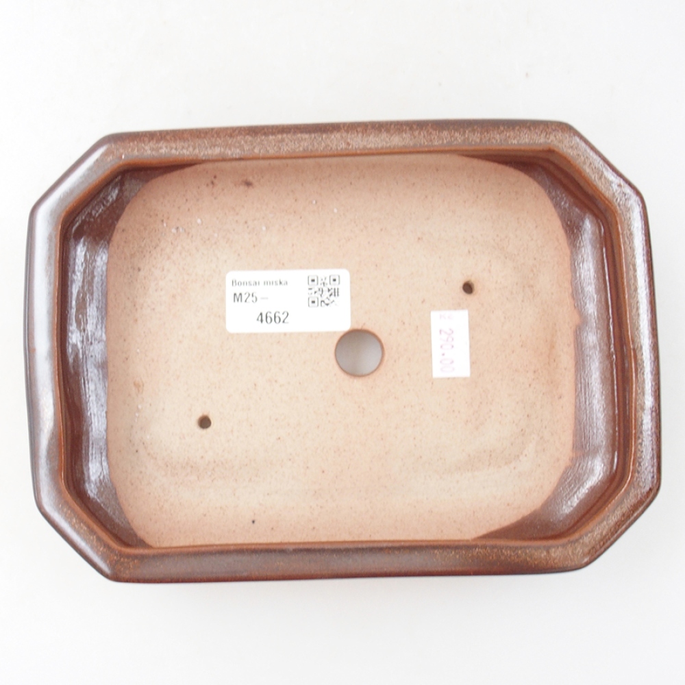Keramik-Bonsaischale 19 x 13,5 x 4,5 cm, Farbe braun