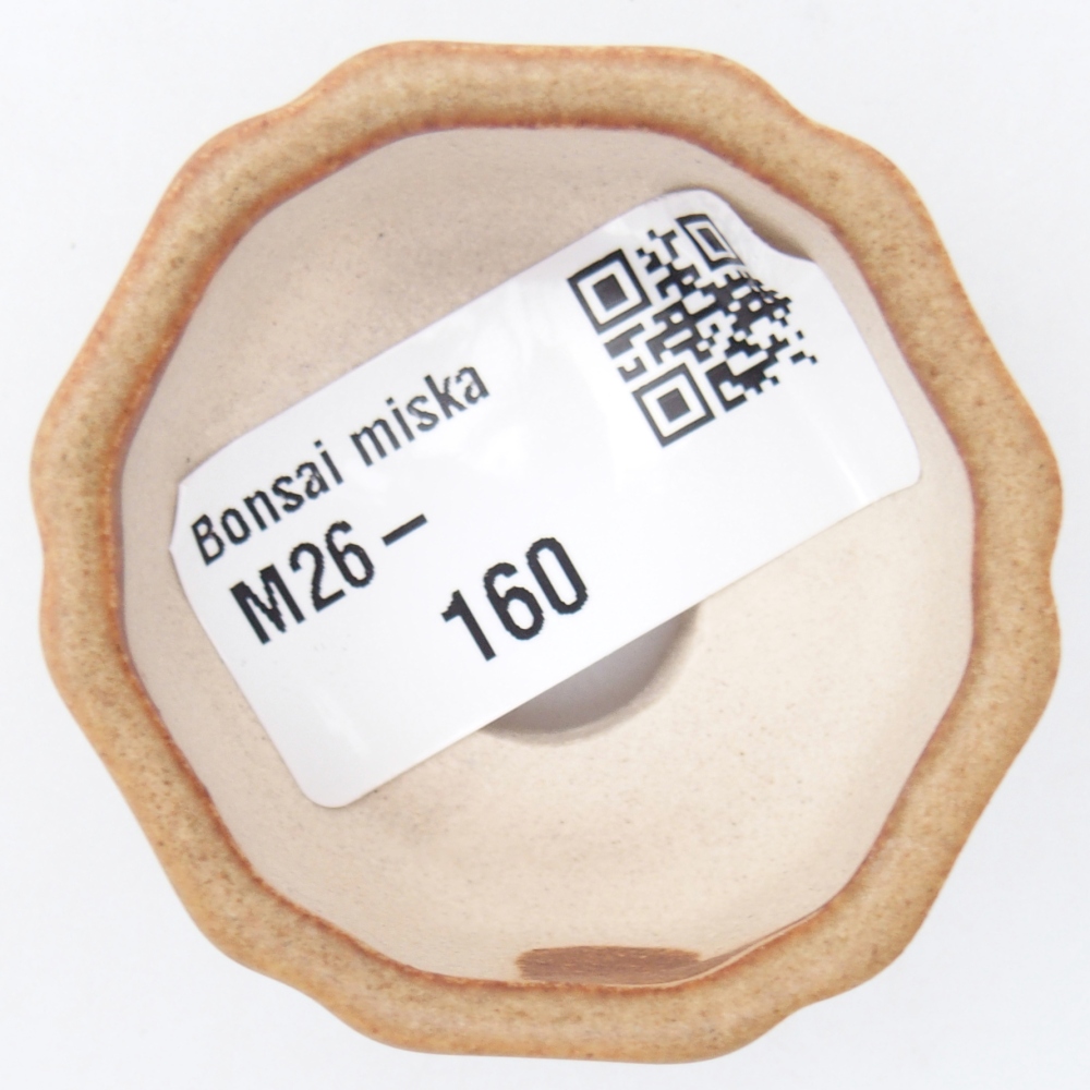 Mini-Bonsaischale 4,5 x 4,5 x 2,5 cm, braun