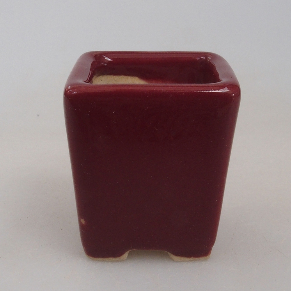 Mini-Bonsaischale 3 x 3 x 3,5  cm, Farbe Burgunder