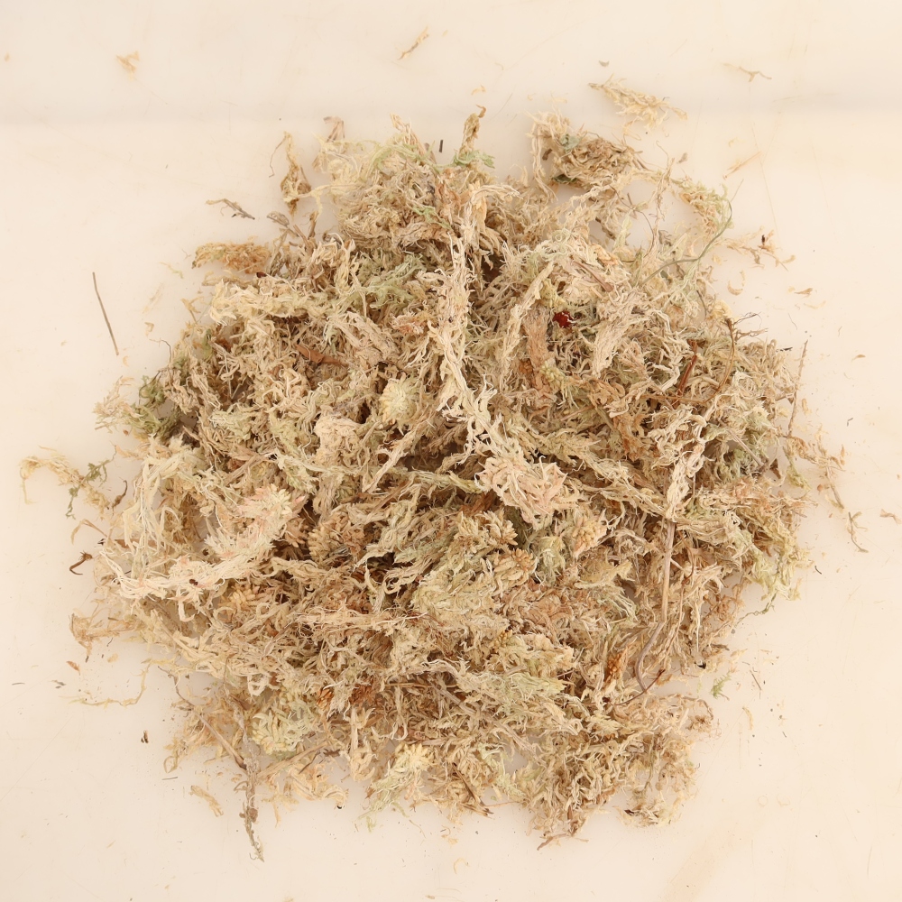 Sphagnum – Torfmoos 150 g