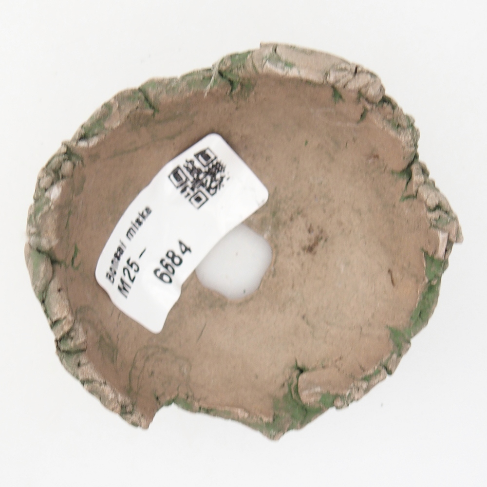 Keramische Muschel 7 x 7 x 4 cm , Farbe grün