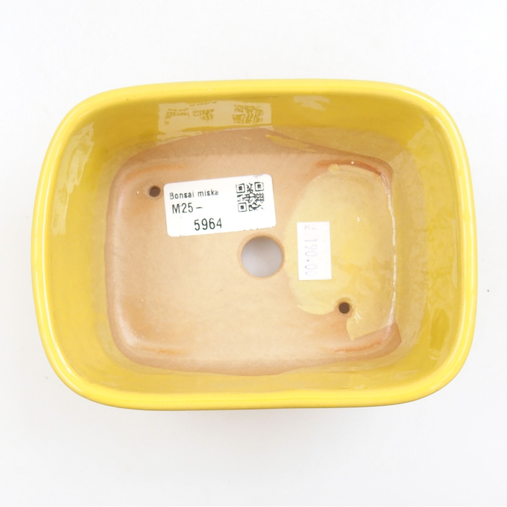 Keramik-Bonsaischale 13,5 x 10 x 6 cm, Farbe gelb