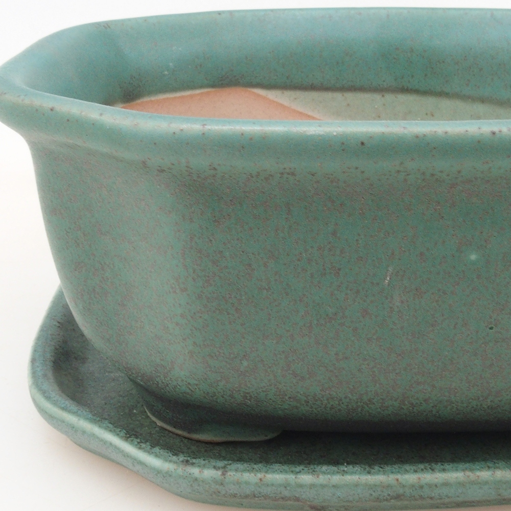 Bonsai-Schale + Untertasse H32 – Grün