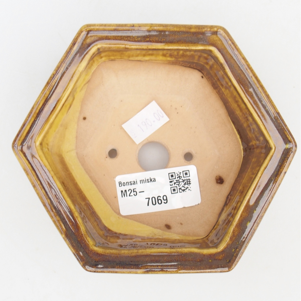 Bonsaischale aus Keramik 12 x 10,5 x 4,5 cm, gelb