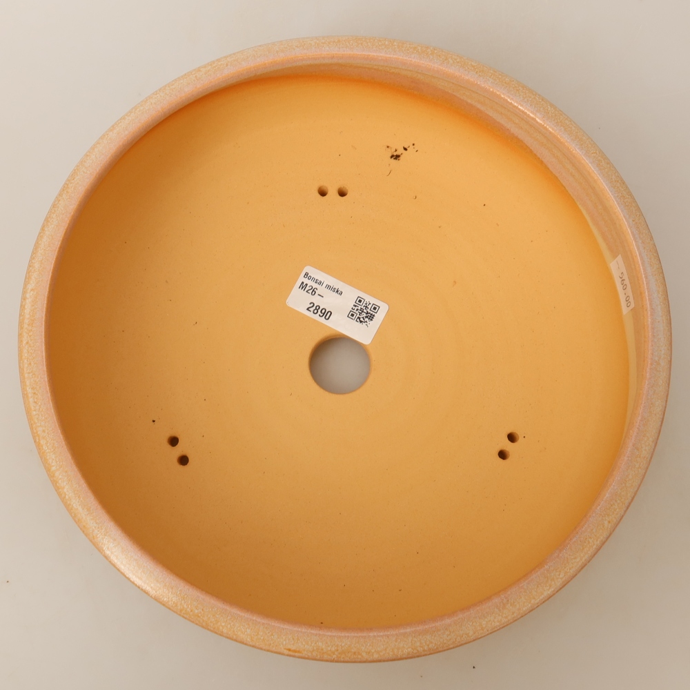 Bonsaischale aus Keramik 24 x 24 x 7 cm, Farbe beige