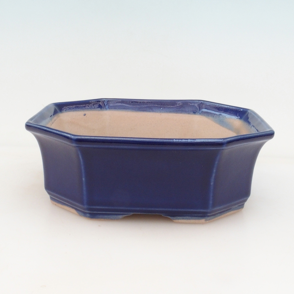 Bonsai-Schale + Schale H14 - blau