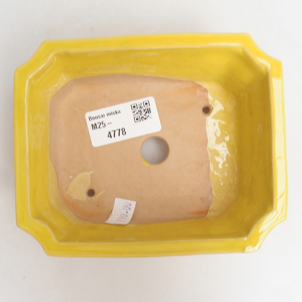 Keramik-Bonsaischale 13 x 10,5 x 4 cm, Farbe  Gelb
