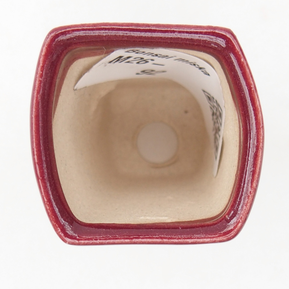 Mini-Bonsaischale 3,5 x 3 x 5,5 cm, Farbe bordeauxrot