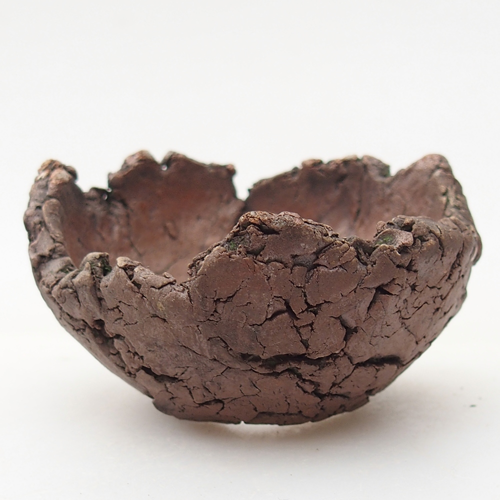 Keramische Muschel 7 x 7 x 4 cm , Farbe grün