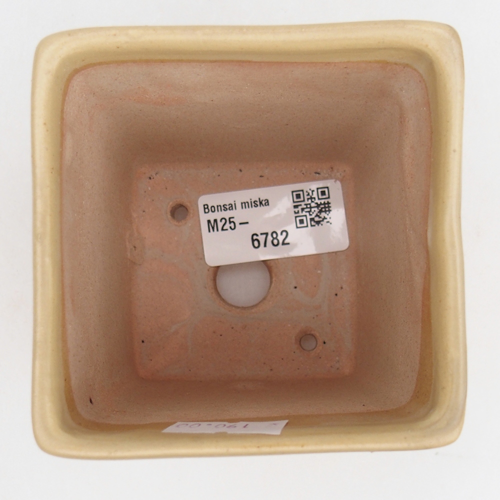Bonsaischale aus Keramik 7,5 x 7,5 x 10 cm, Farbe beige