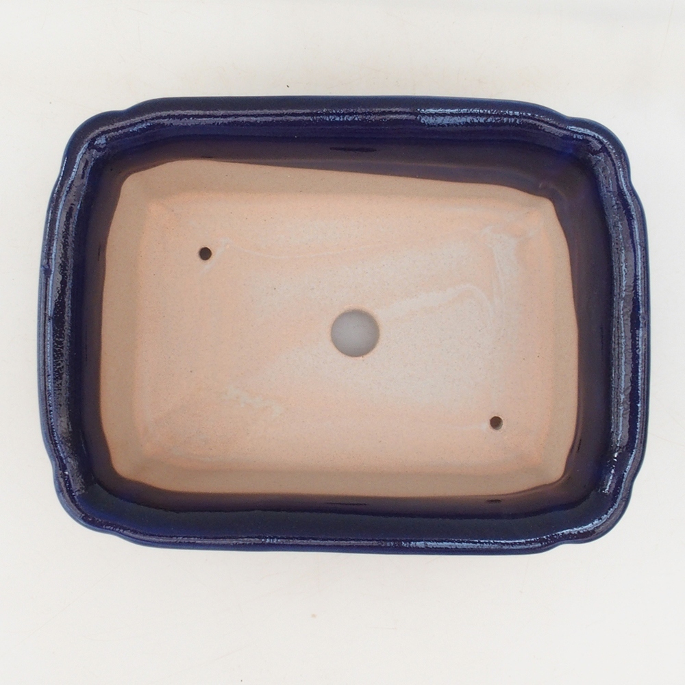 Bonsaischale H50 - 17 x 12,5 x 5,5 cm. - blau