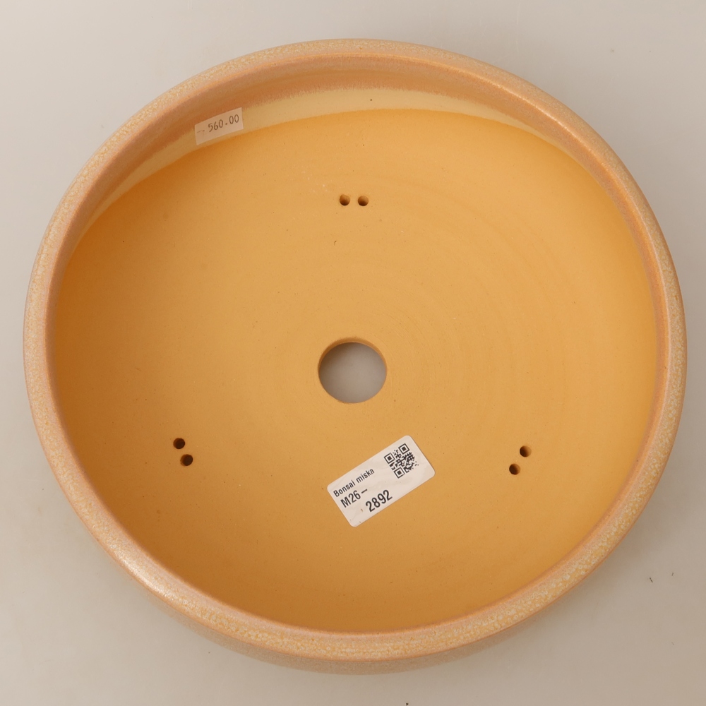 Bonsaischale aus Keramik 24 x 24 x 7 cm, Farbe beige