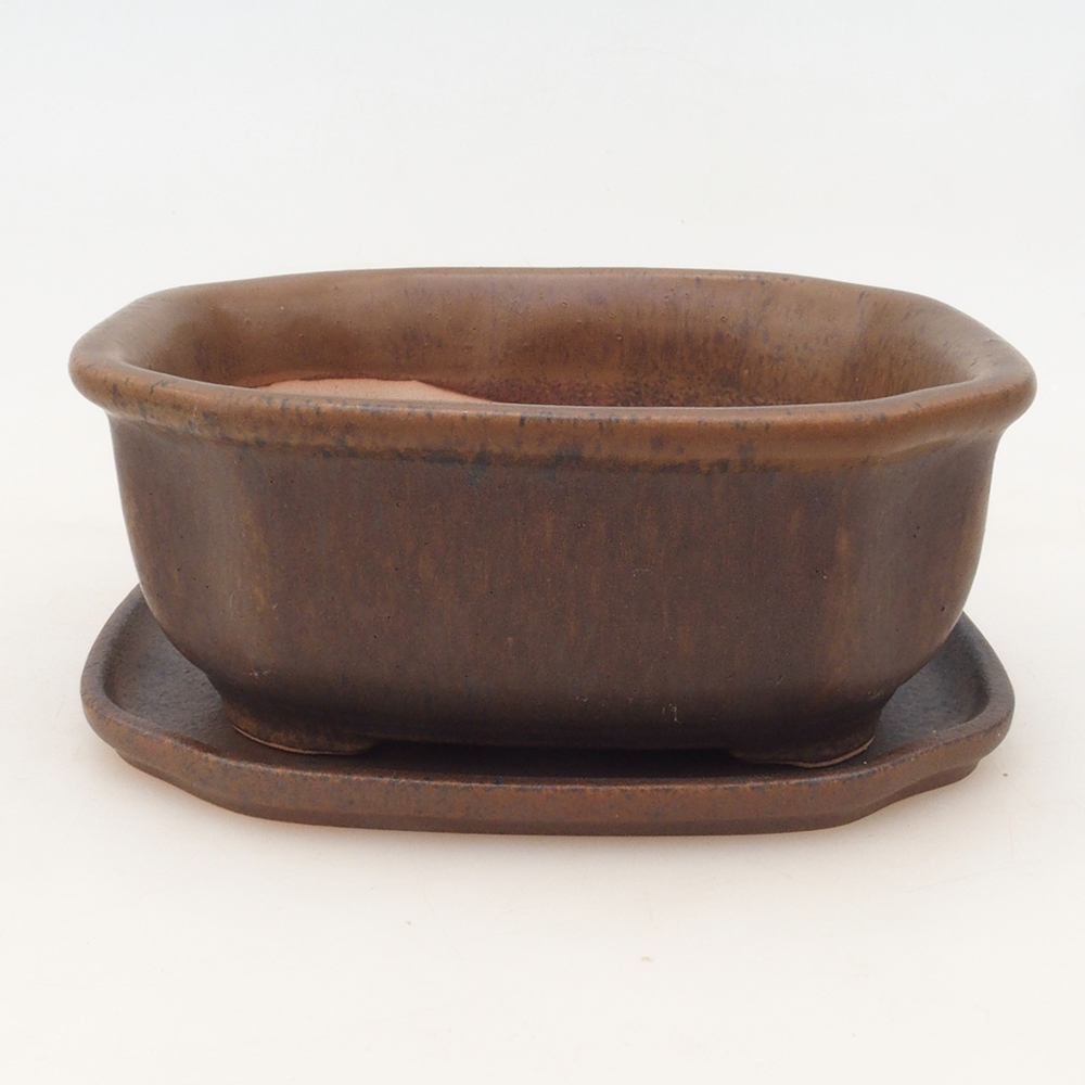 Bonsai-Schale + Untertasse H32 – Braun