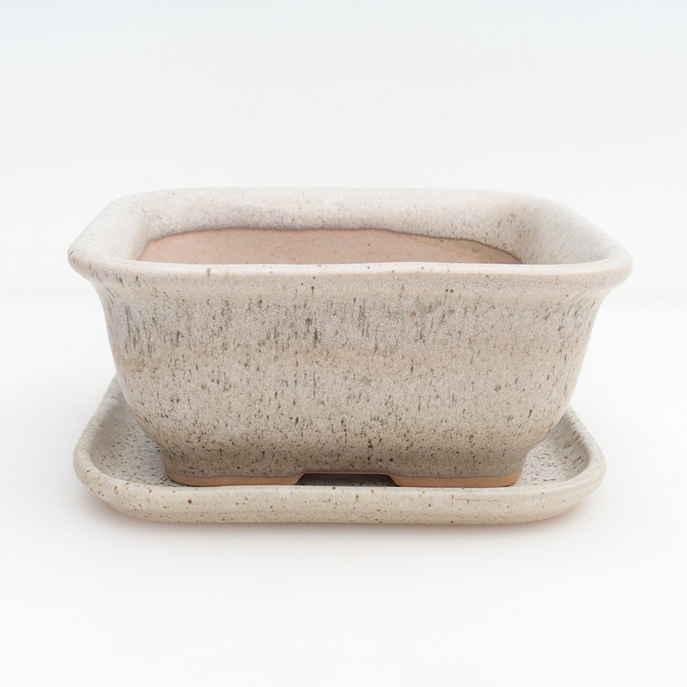Bonsaischale + Untertasse H38 - 12 x 10,5 x 5 cm - beige