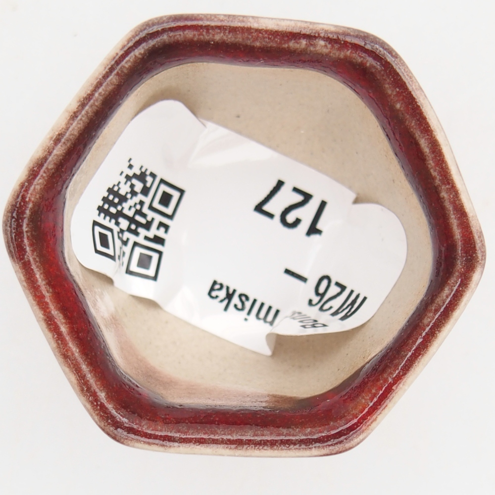 Mini-Bonsaischale 4 x 4 x 3 cm, Farbe rot