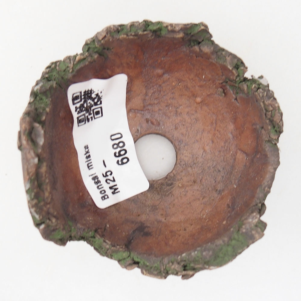 Keramische Muschel 7 x 6 x 5 cm , Farbe grün