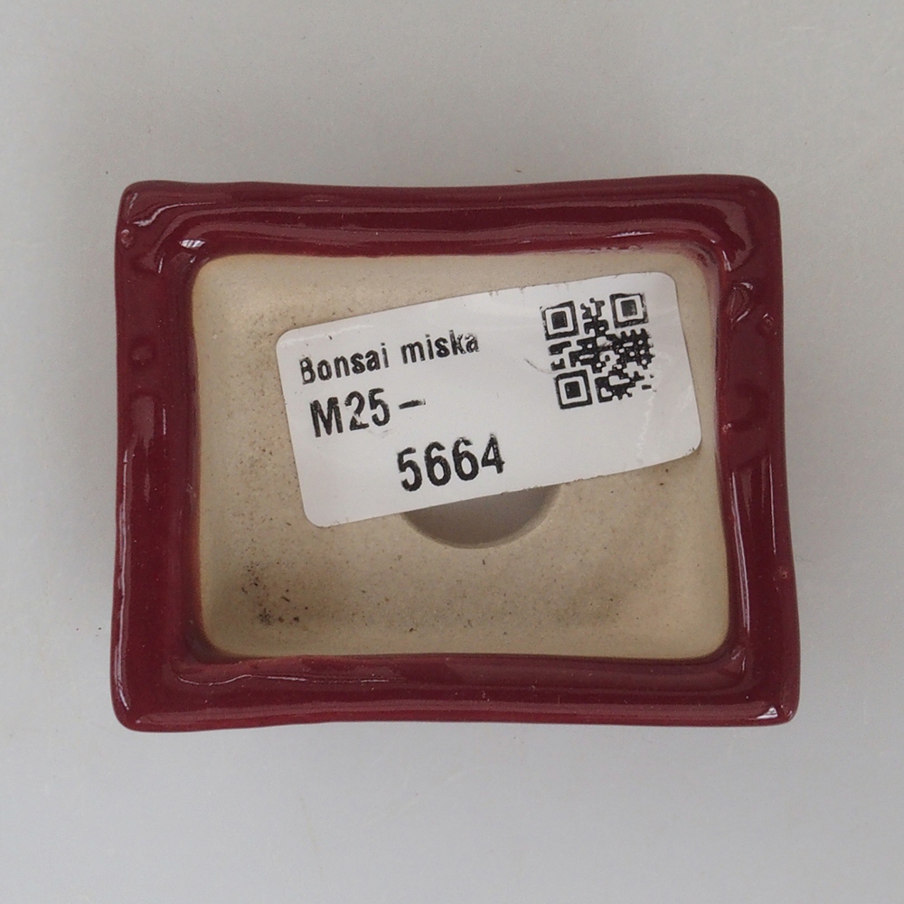 Mini-Bonsaischale 6 x 4,5 x 2 cm, Farbe Burgunder