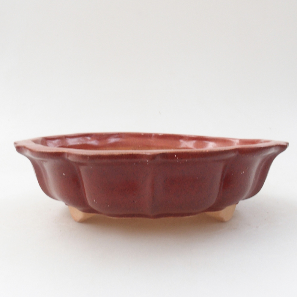 Keramik-Bonsaischale 18 x 18 x 5 cm, Farbe Rosa