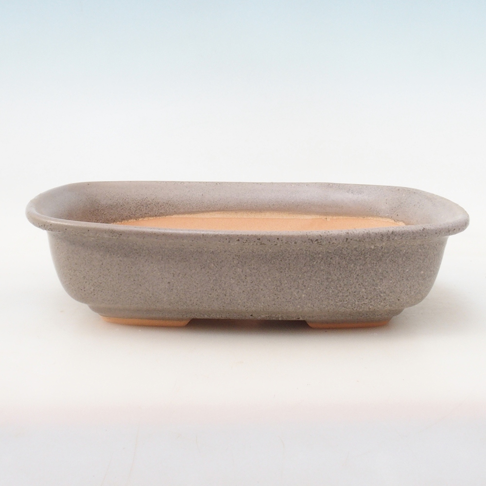Bonsai-Schale + Unterschale H09 – 30 x 23 x 7,5 cm – beige